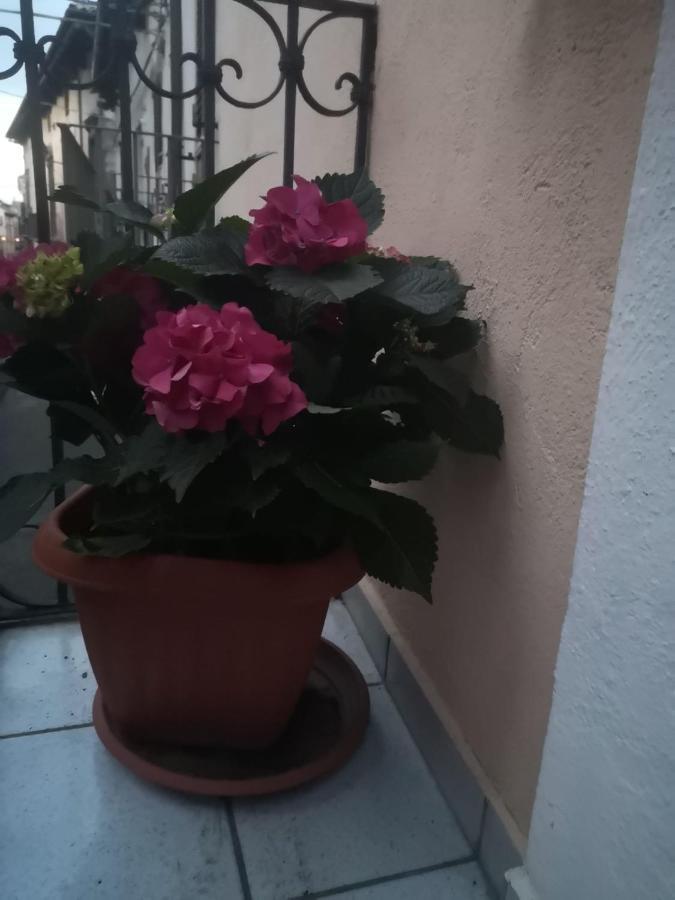 L'Alpino Panzió Sulmona Kültér fotó